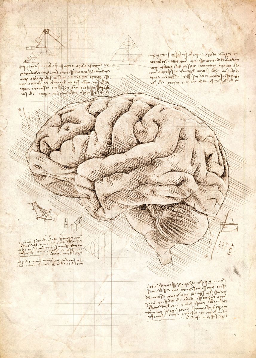 'Human Brain' Poster by Cornel Vlad | Displate