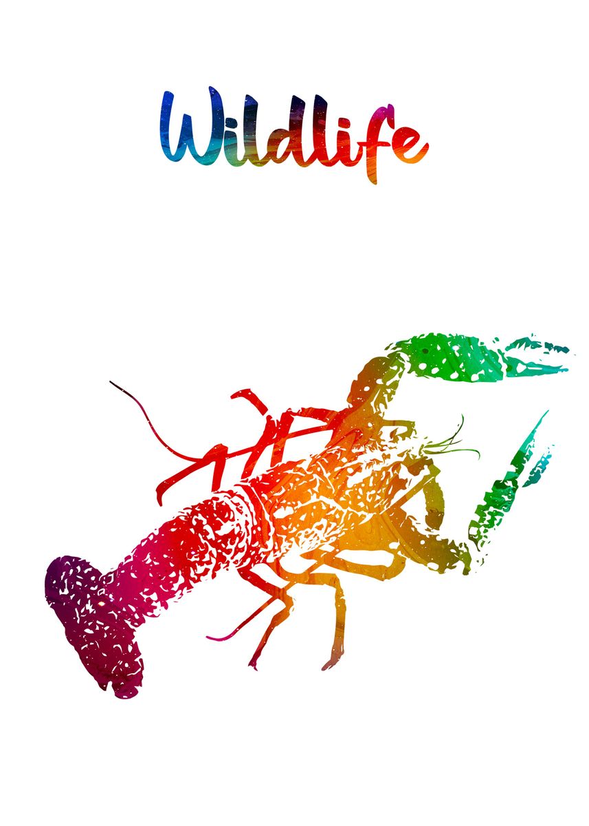 ‘Lobster’ Poster, picture, metal print, paint by Printed Artings | Displate