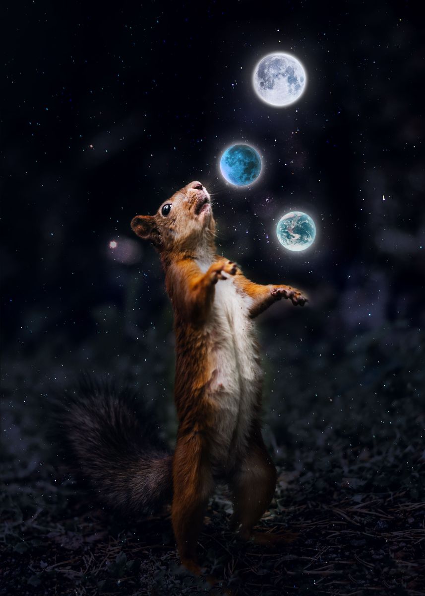 'Juggling squirrel' Poster, picture, metal print, paint by Wild Raccoon ...