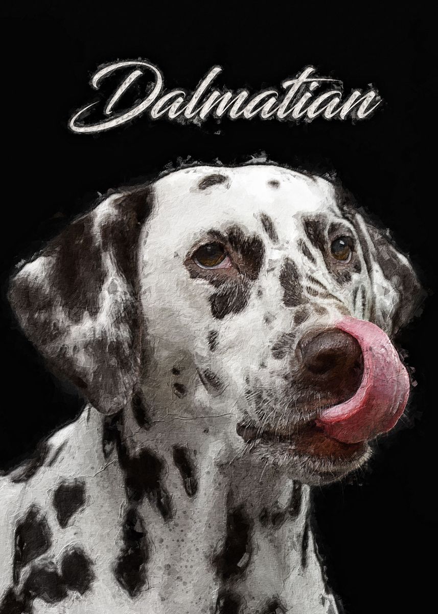 'Dalmatian dog' Poster, picture, metal print, paint by Kitty Kit | Displate