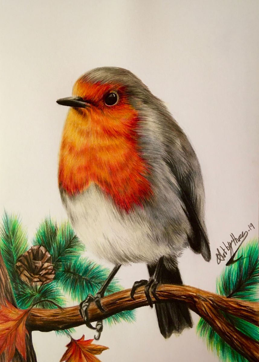 'Robin Redbreast' Poster, picture, metal print, paint by Art By Three ...