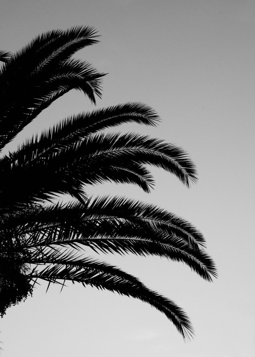 'Palm Leaves Sunset 3' Poster by Anita's & Bella's Art | Displate