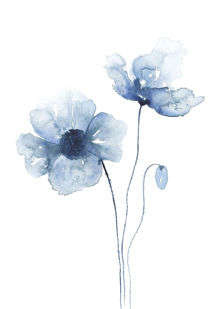 'Blue Poppies No 2' Poster by Kris | Displate