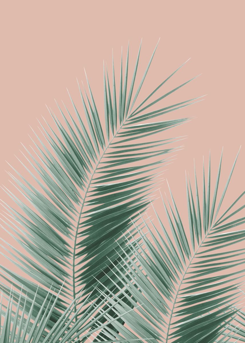 'Soft Green Palm Leaves 1' Poster by Anita's & Bella's Art | Displate