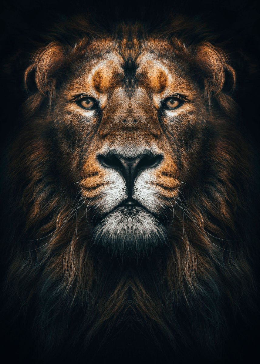lion king face poster ' Poster by MK studio | Displate