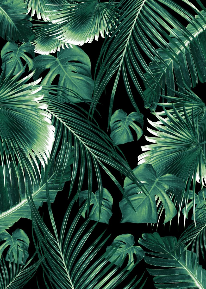 'Tropical Jungle Leaves 6' Poster, picture, metal print, paint by Anita ...