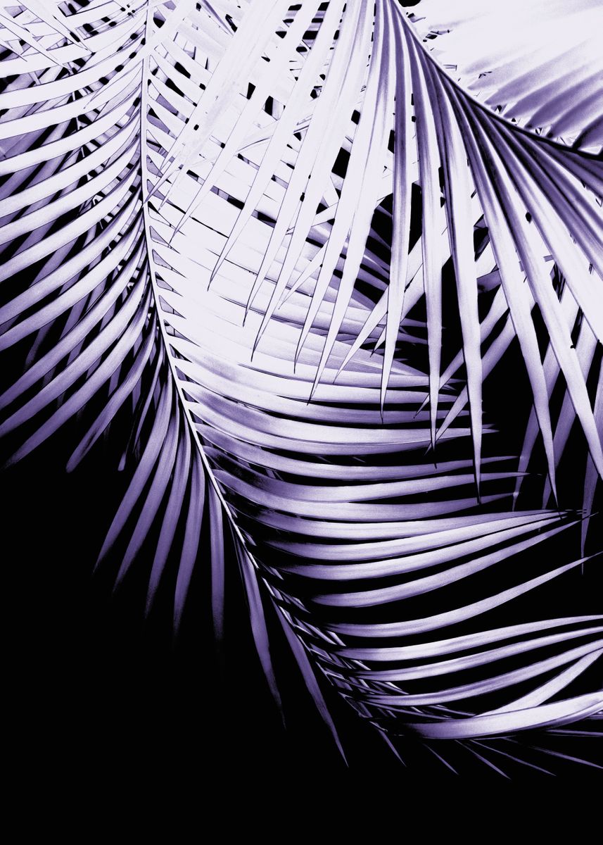 'Palm Leaves Ultra Violet 3' Poster by Anita's & Bella's Art | Displate