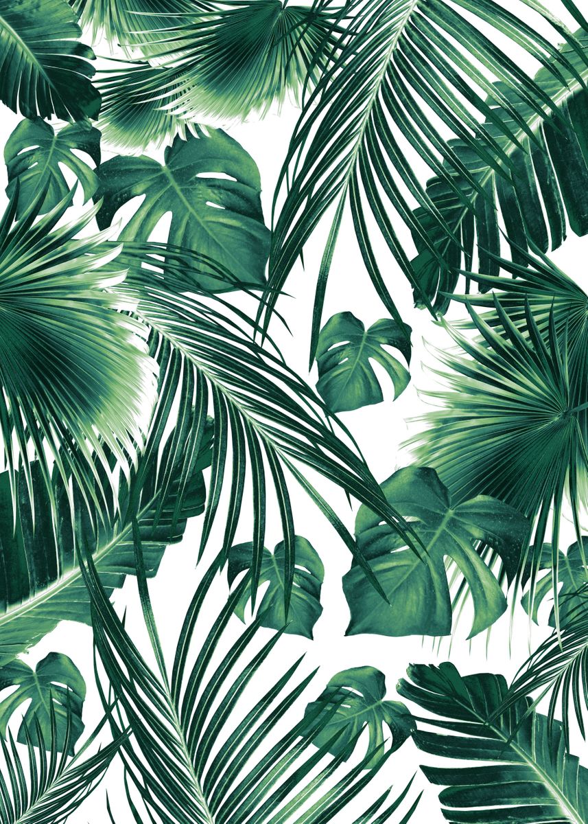 'Tropical Jungle Leaves 3' Poster by Anita's & Bella's Art | Displate