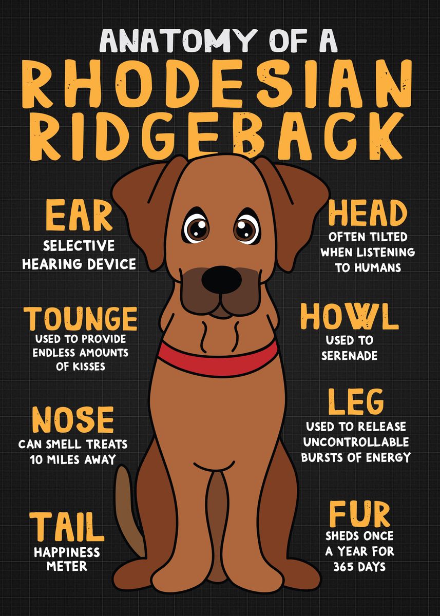 'Rhodesian Ridgeback Dog' Poster, picture, metal print, paint by Rafael ...