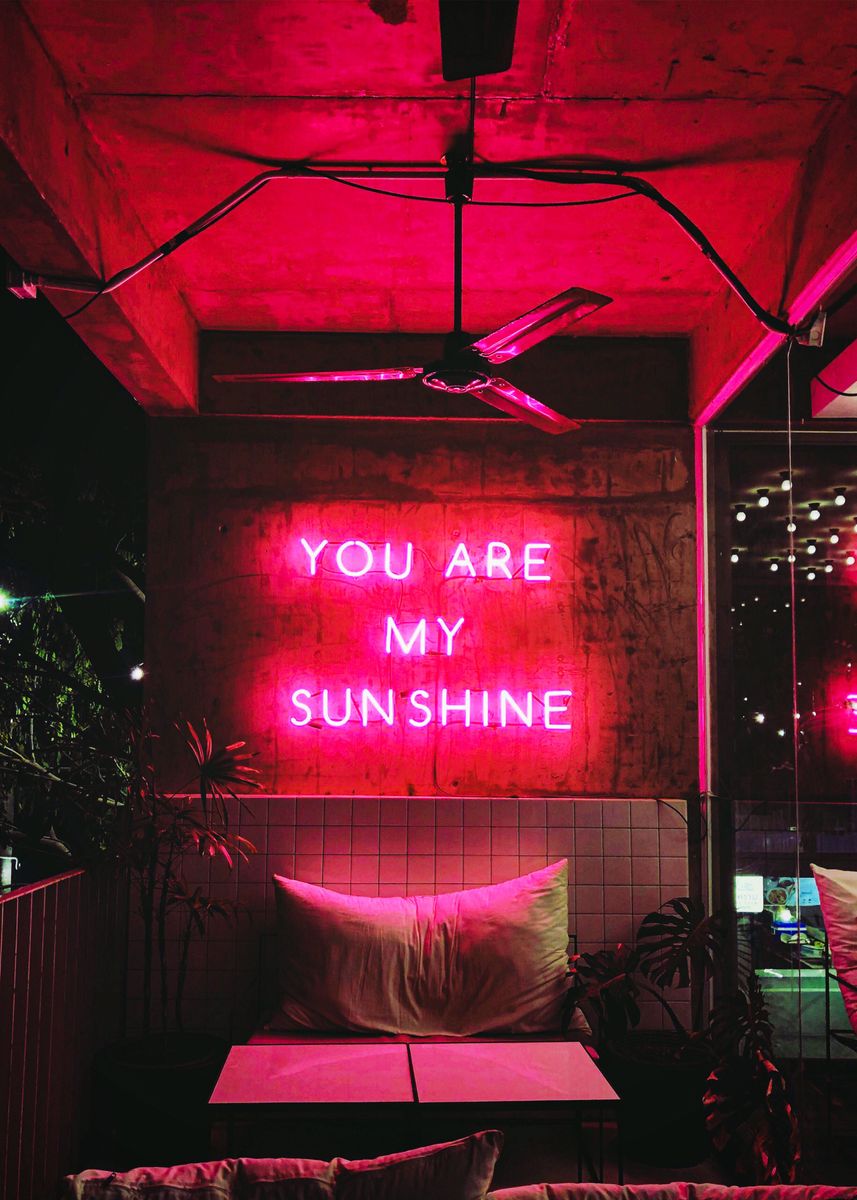 you are my sunshine neon light