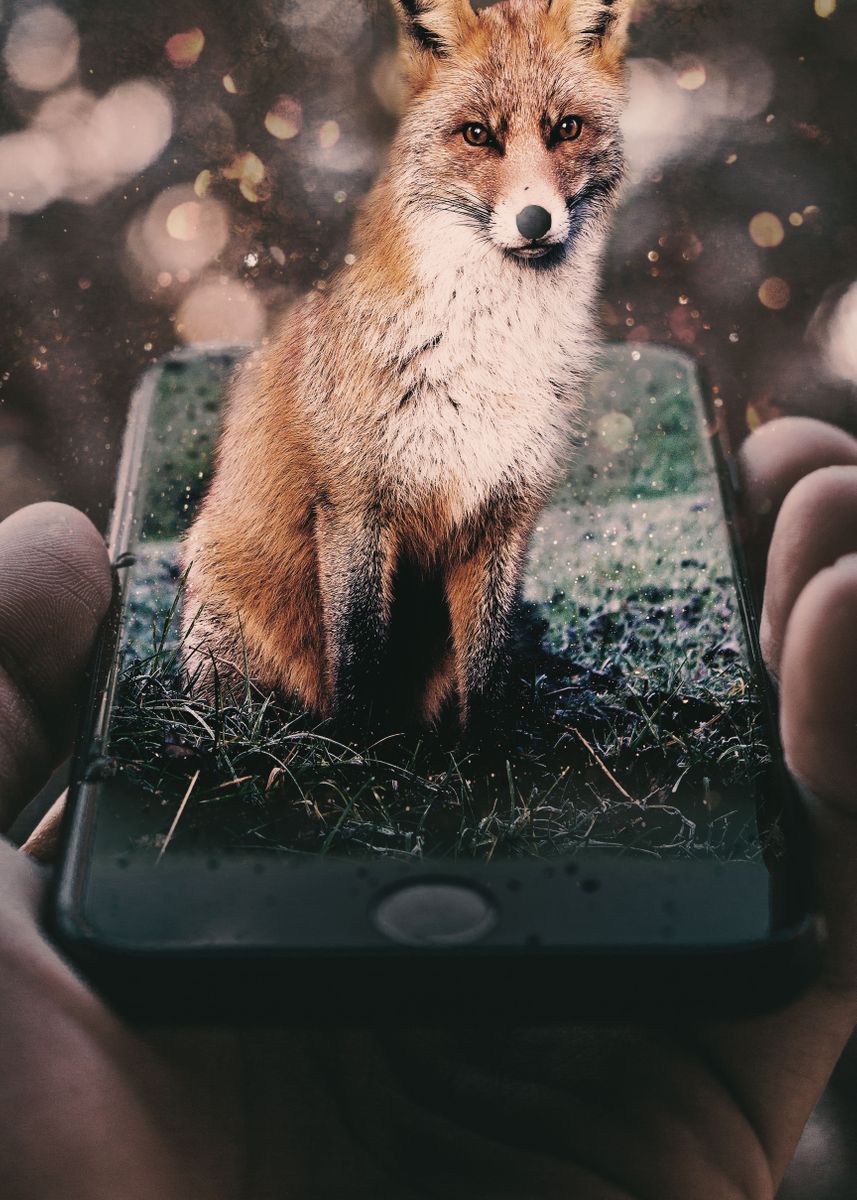 'iPhone and The Fox' Poster, picture, metal print, paint by Balázs ...