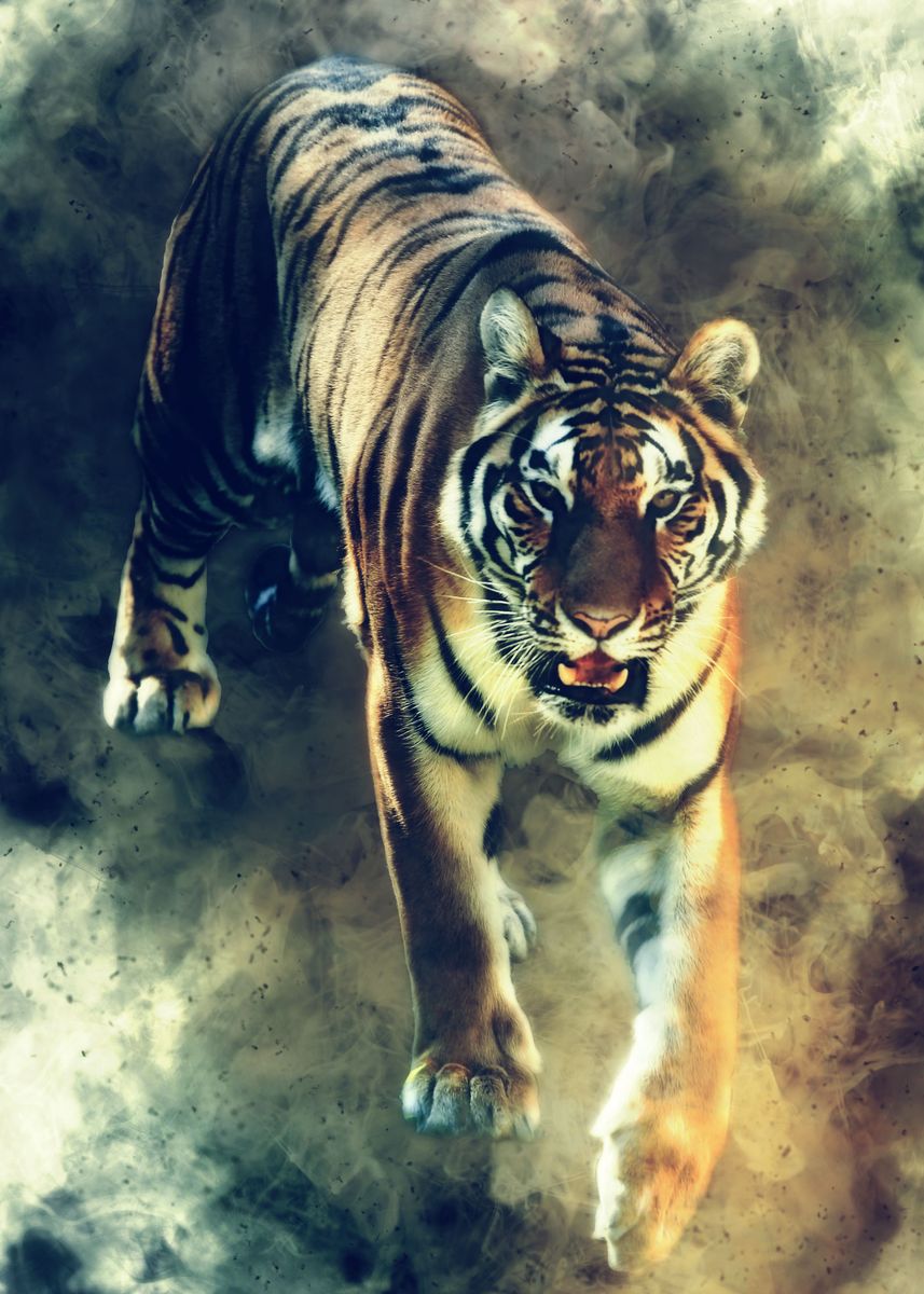 'Tiger' Poster, picture, metal print, paint by The Poster | Displate