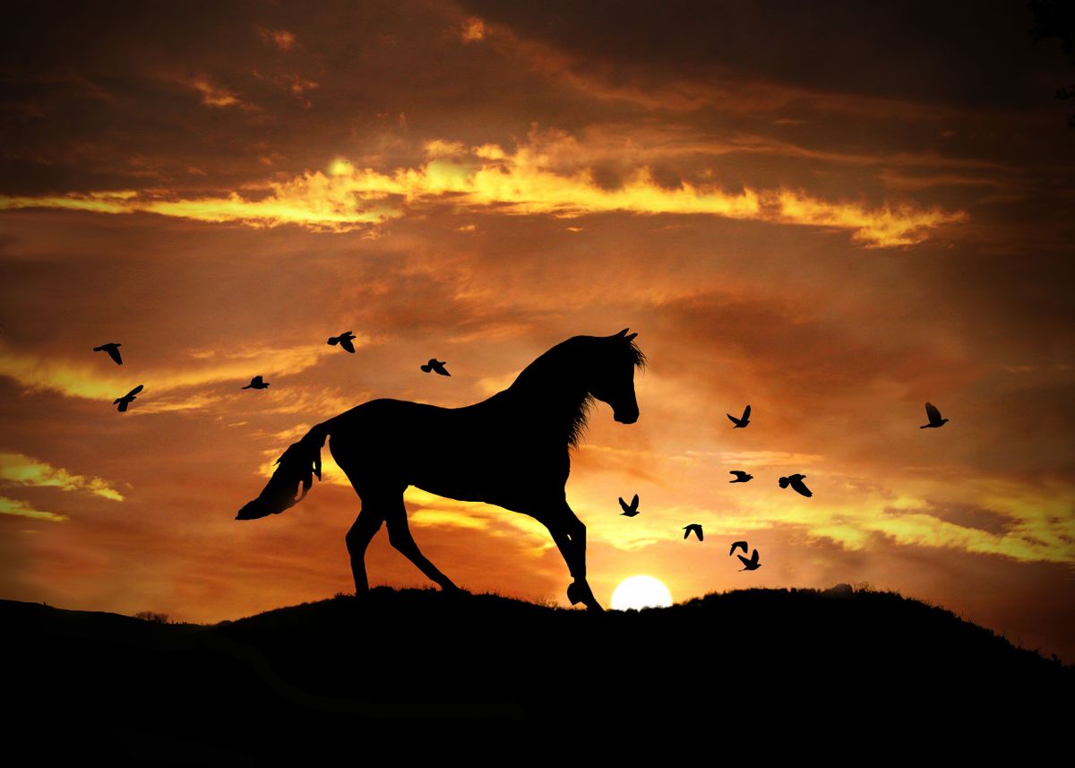 Бегущие лошади на закате