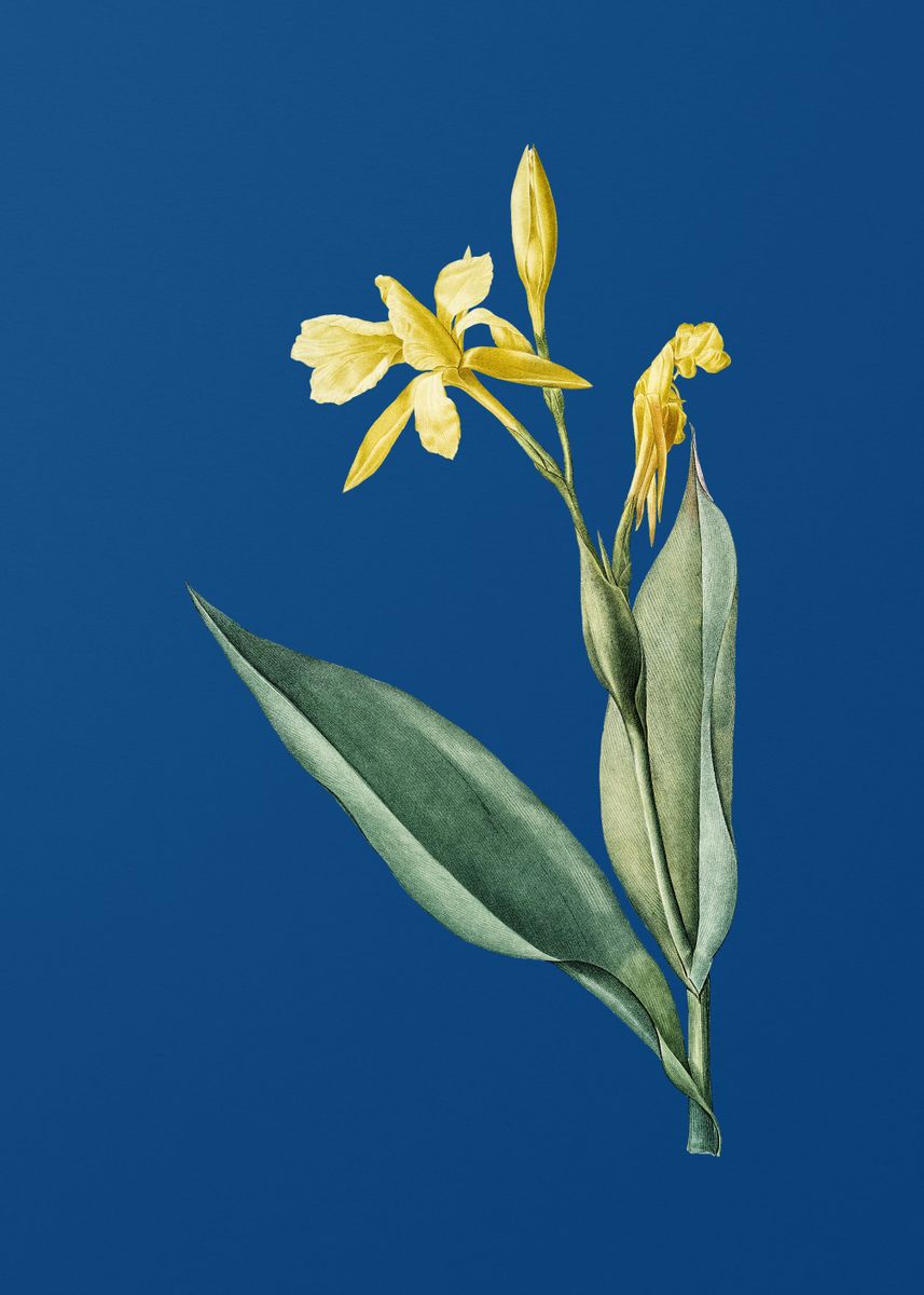 'Bandana of the Everglades' Poster by Holy Rock Design Displate