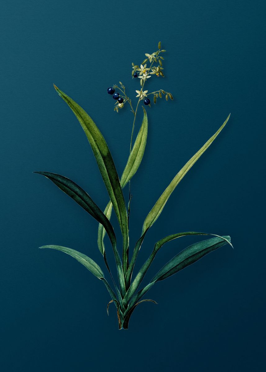 'Antique Flax Lilies' Poster, picture, metal print, paint by Holy Rock ...
