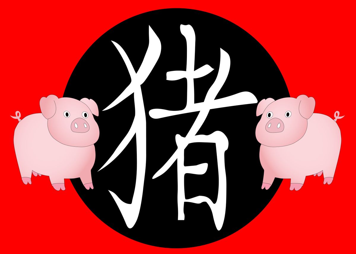 Крыса китайский зодиак. Pig \ in Chinese language picture.