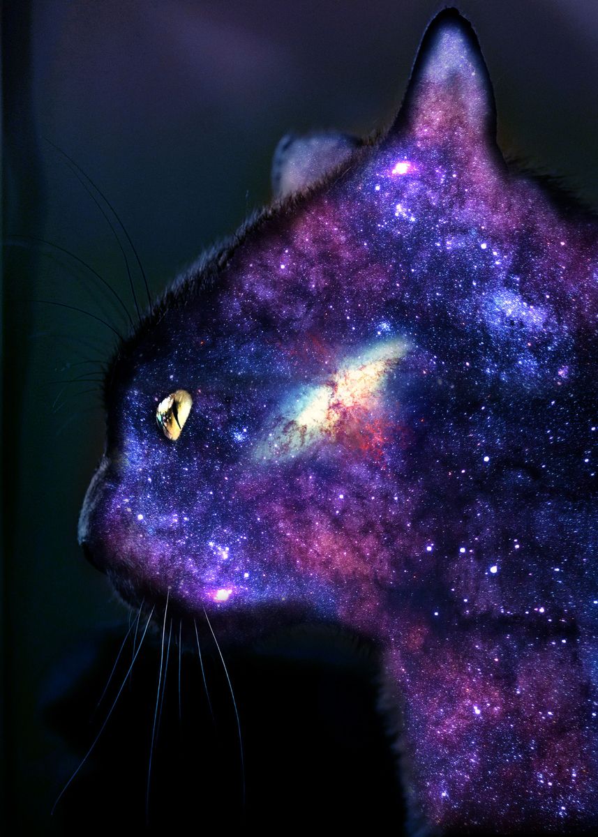 'Cosmos Cat' Poster by Engels Espinoza | Displate