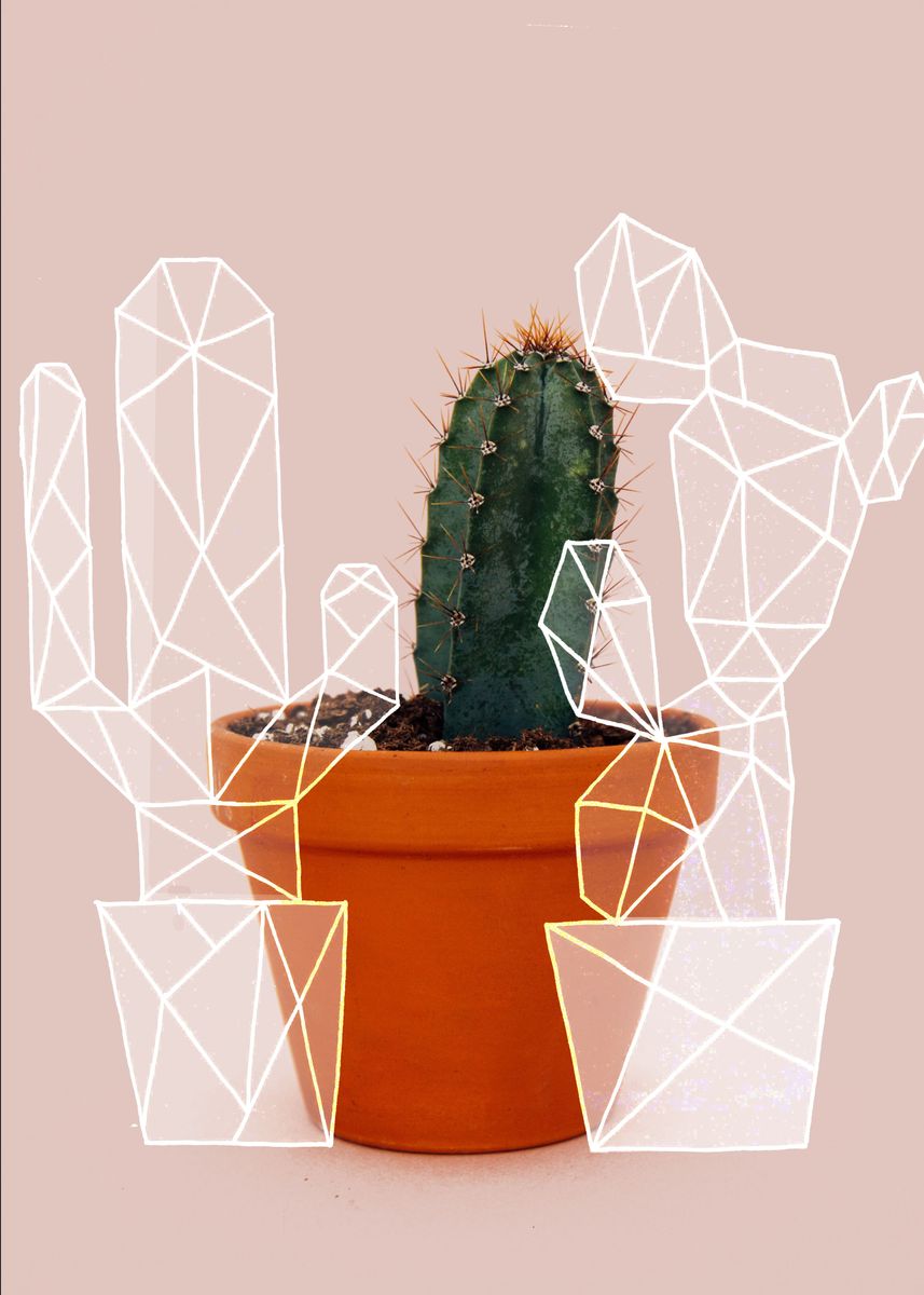 'Pink cactus' Poster by JMdrawings  | Displate