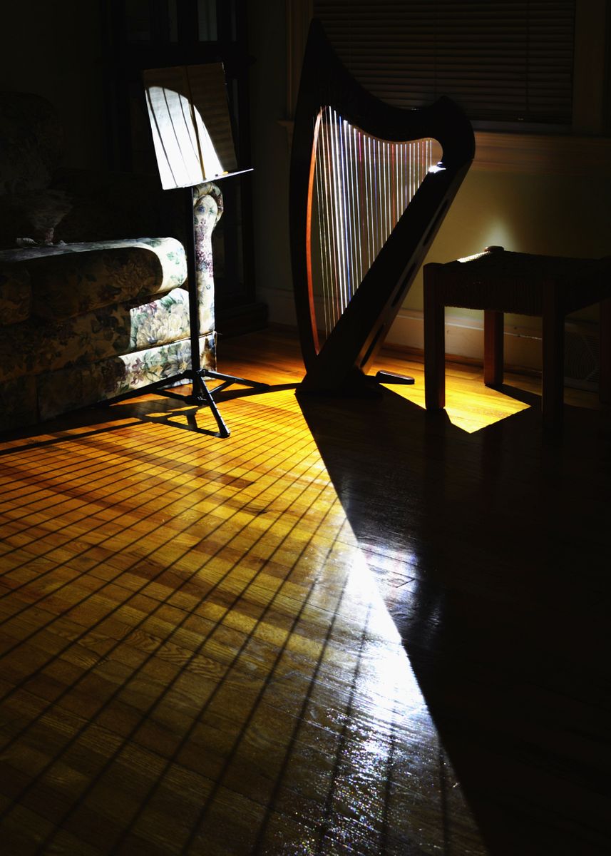 'Shadow Strings' Poster by Nathan DePue Displate