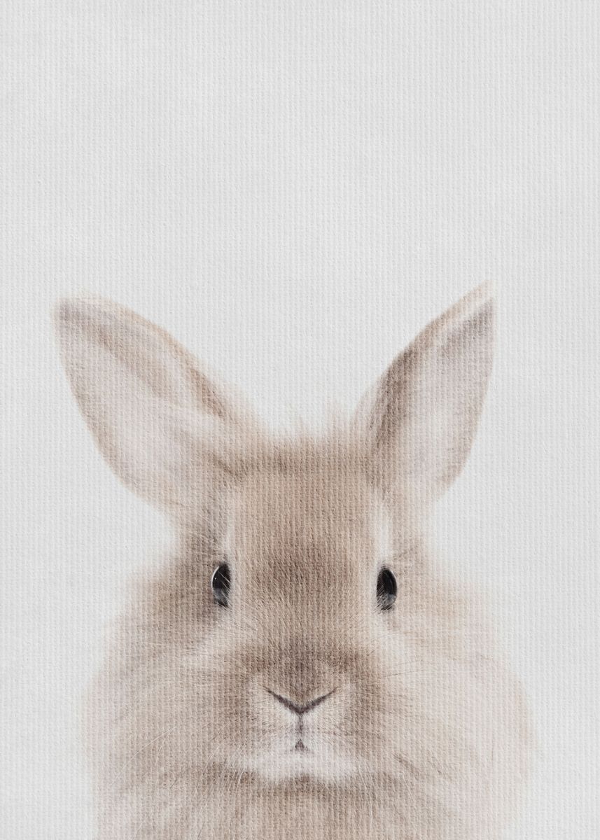 Small Rabbit Print 'Little Rabbit' Poster, picture, metal print, paint by KUBISTIKA Modern ...