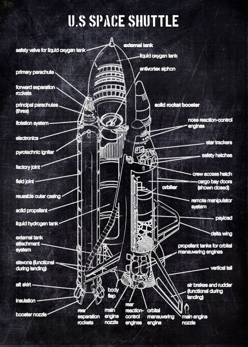 'us space shuttle' Poster, picture, metal print, paint by MAXART DESIGN ...