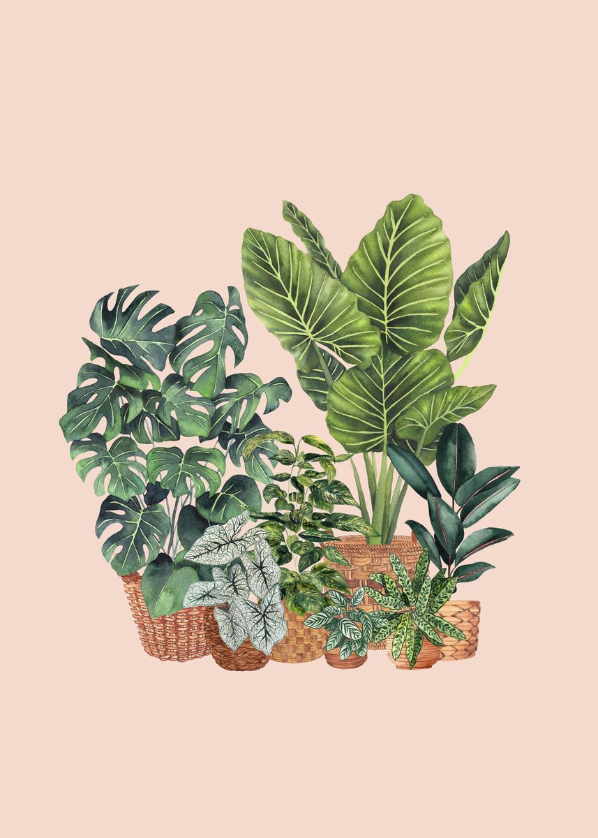 'House Plants Watercolor Il' Poster by Gush Art Studio | Displate