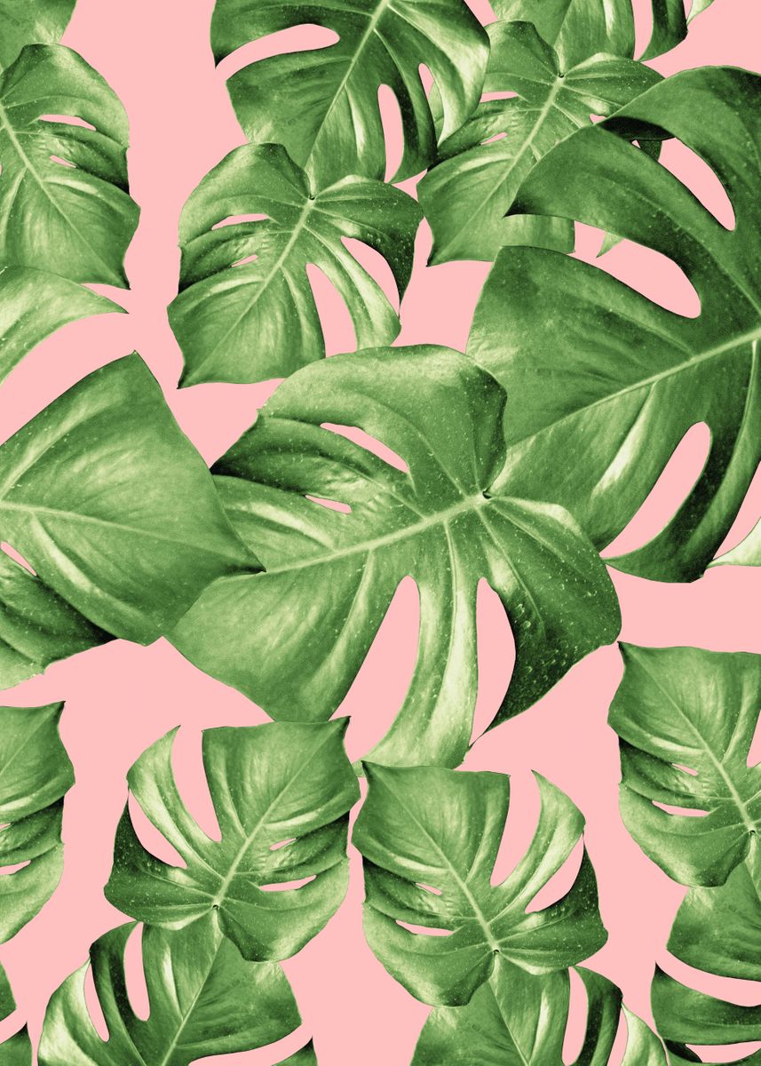 'Monstera Leaves Blush 1' Poster by Anita's & Bella's Art | Displate