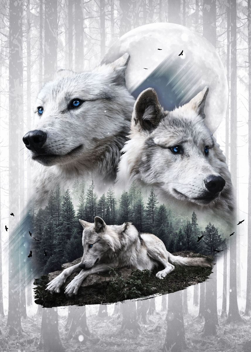 Постер с волком. Постер волки. Плакат с волком. 100 Волк Постер. Белый волк Постер.