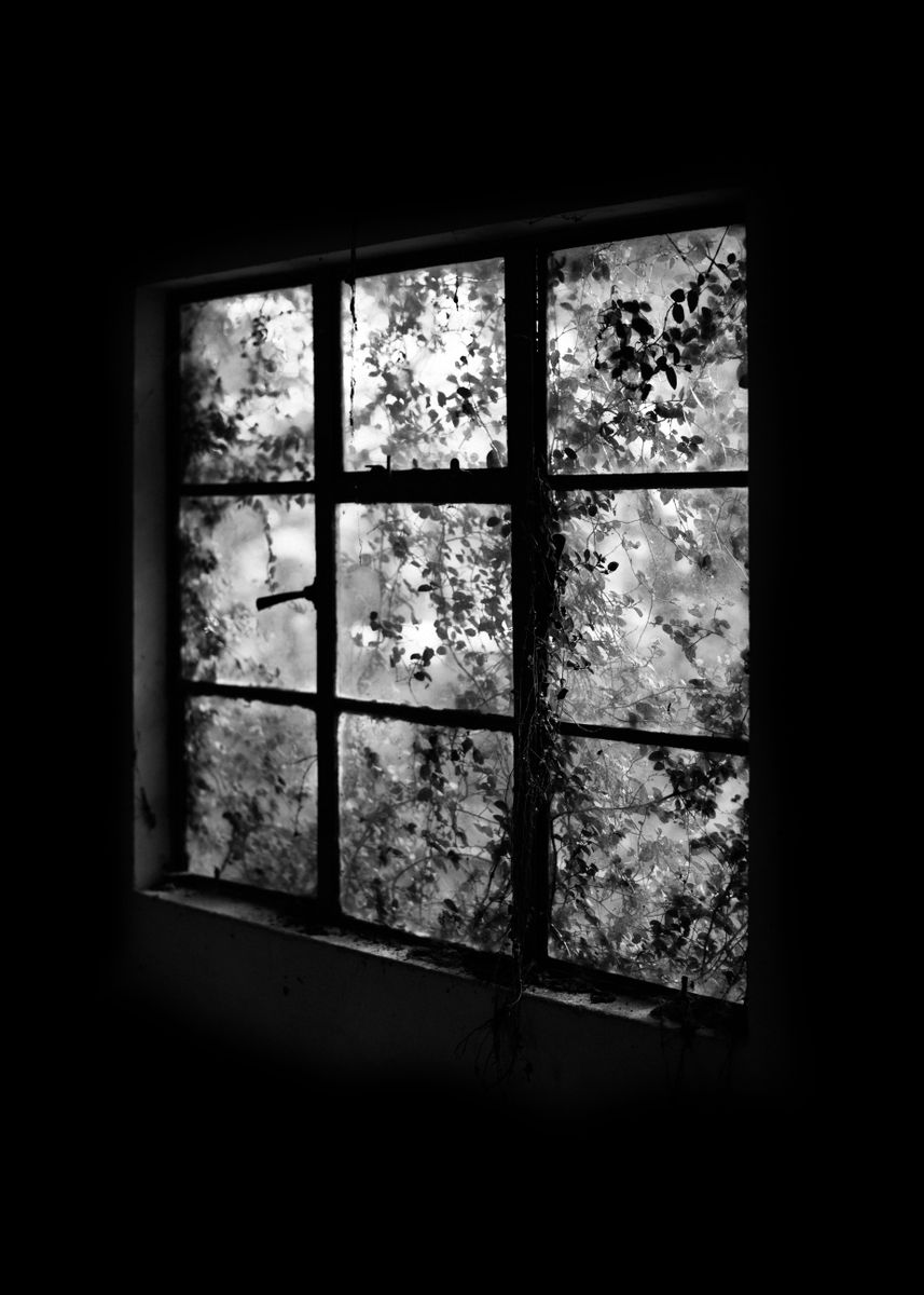 'black and white windows ' Poster, picture, metal print, paint by 徐悲鴻 ...