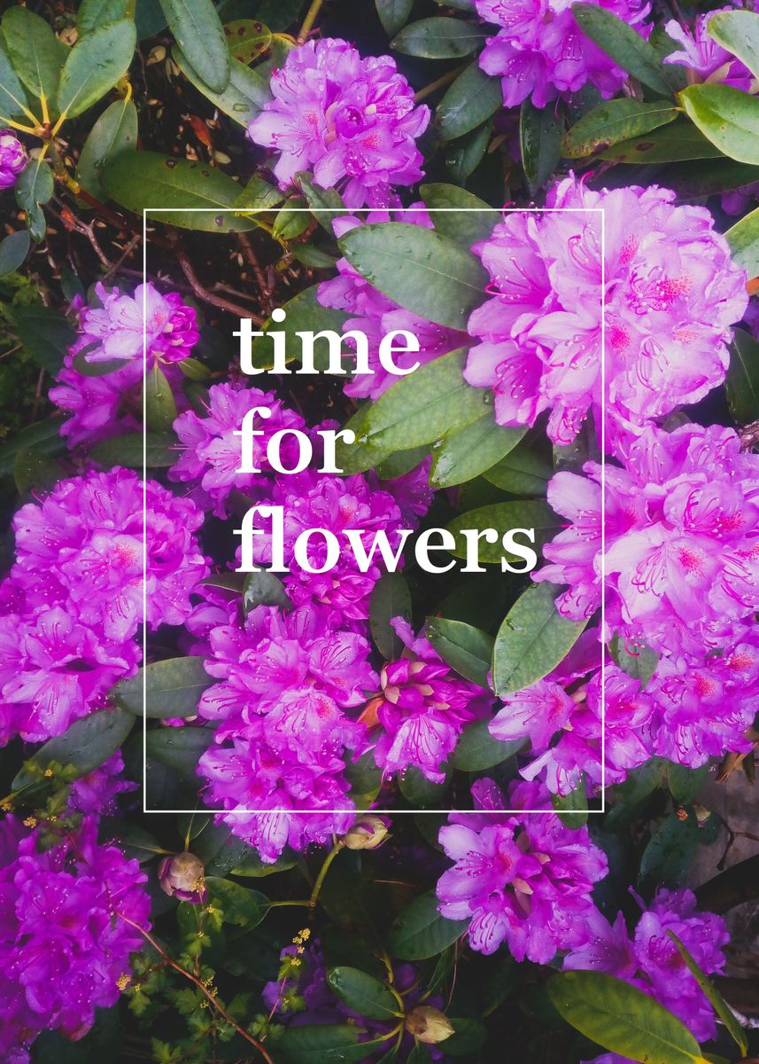 'time for flowers' Poster by Señorita Mariposa Displate