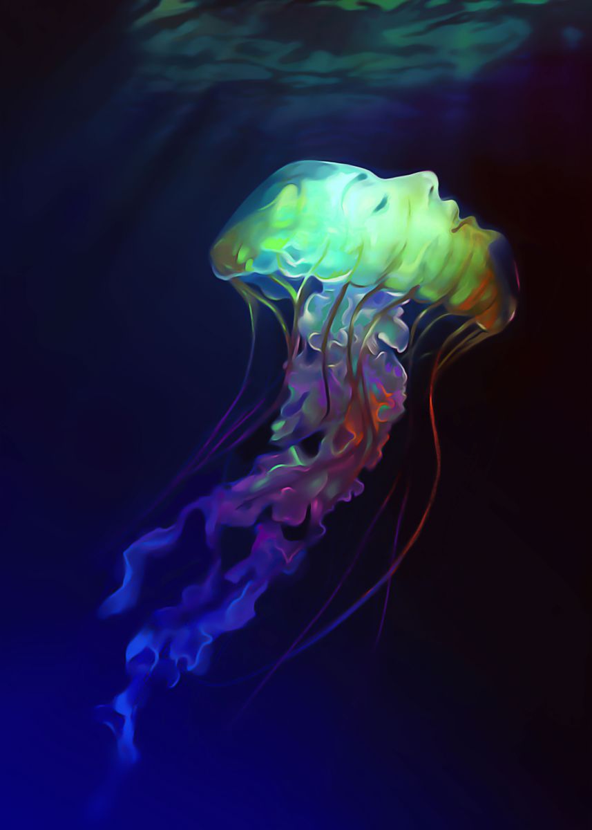 Meduza piece