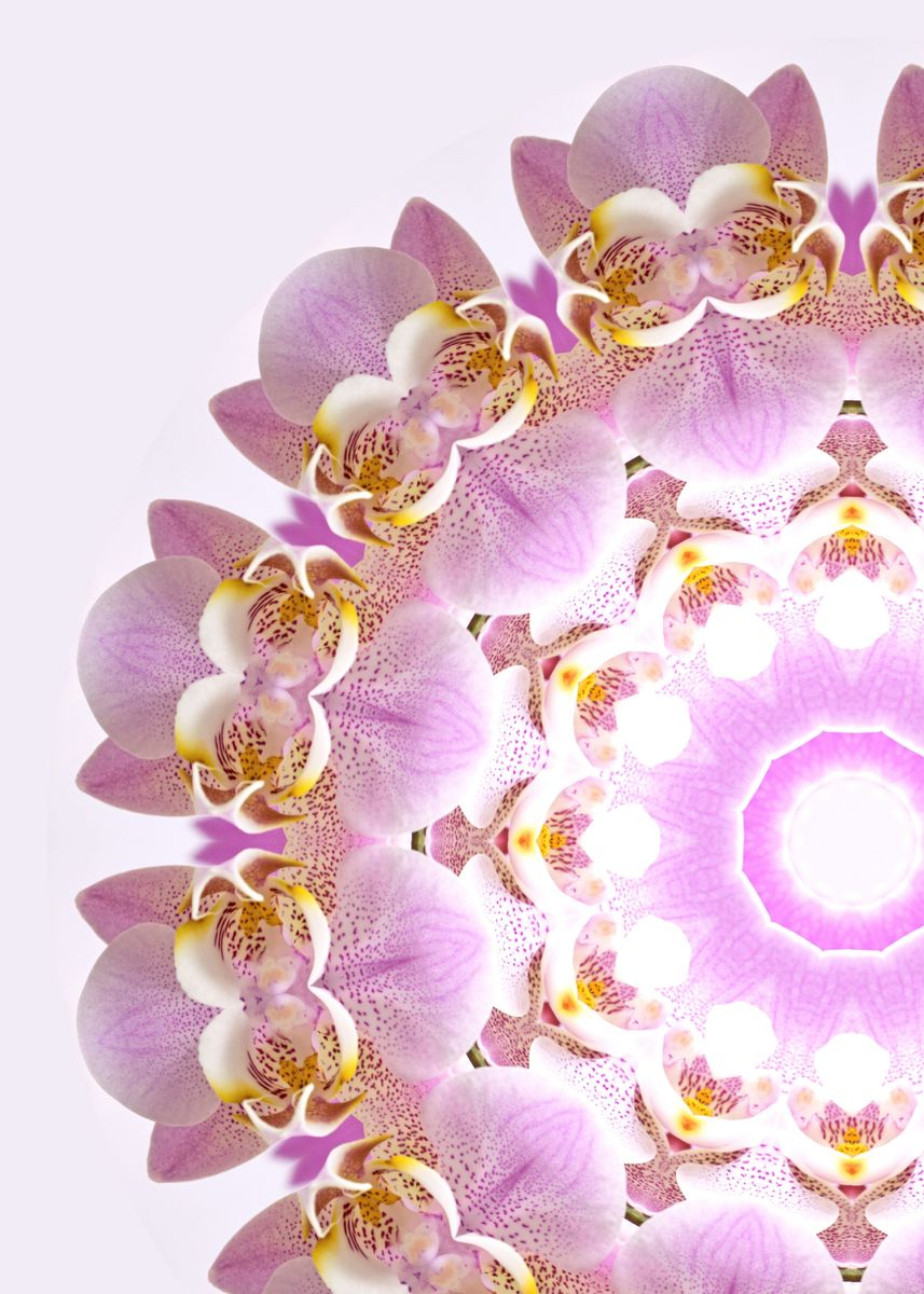 'Orchid Mandala VI' Poster, picture, metal print, paint by Teresita ...