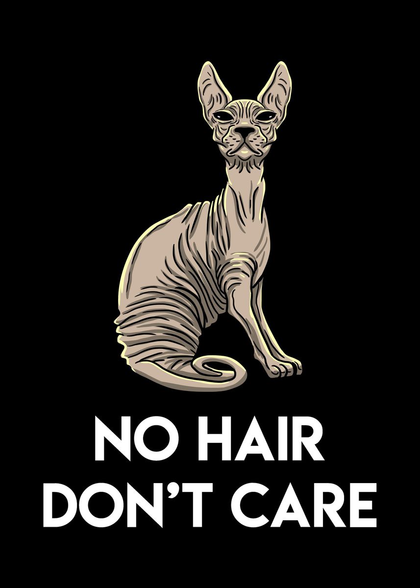 No Hair Dont Care Cat Poster By Boredkoalas Displate