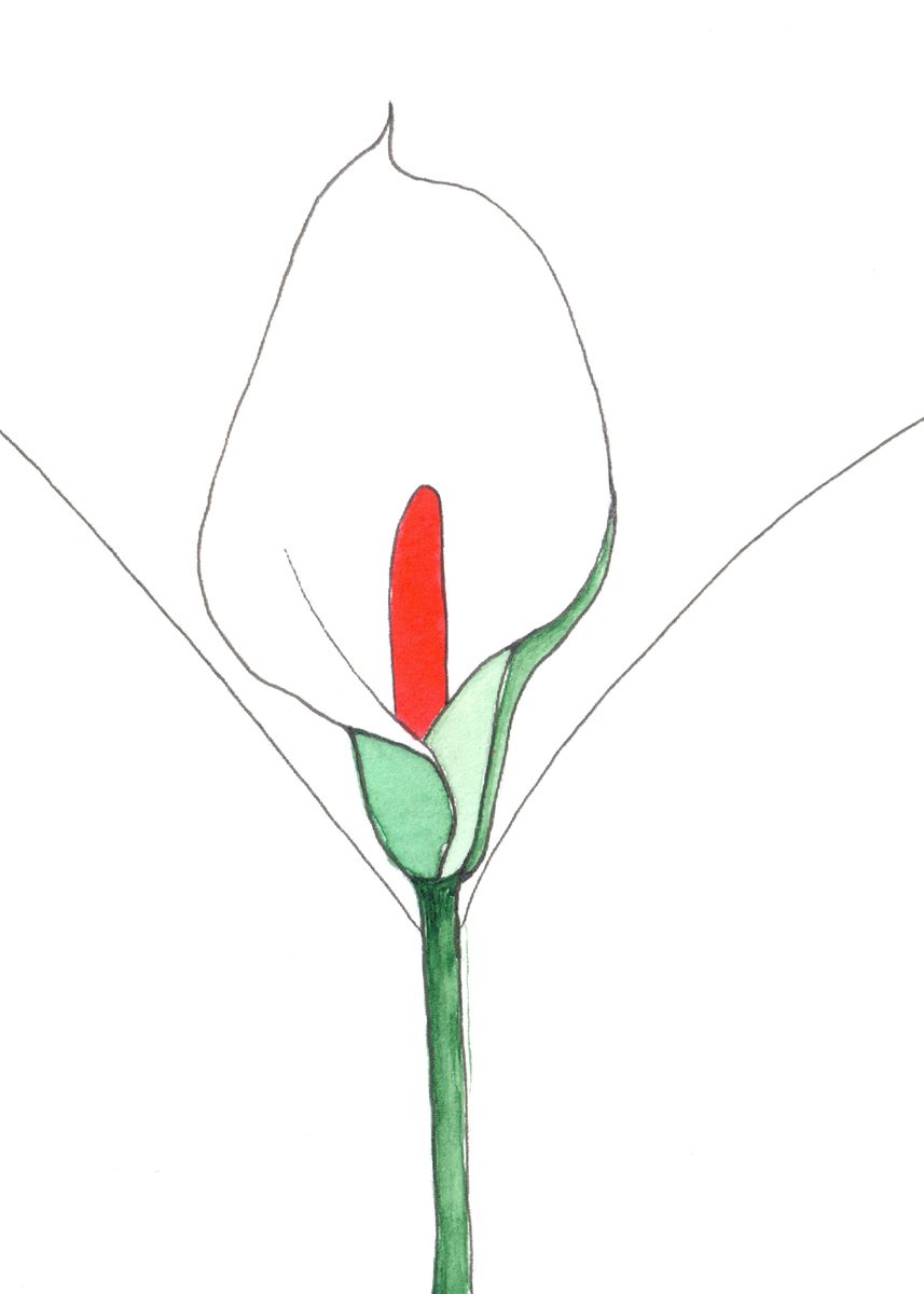 Vulva Vagina Flower Art Poster By Displate