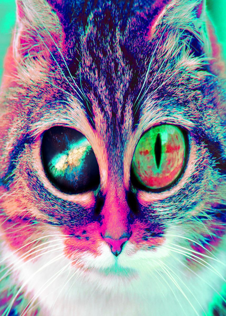 Galaxy Cat DJ | Poster