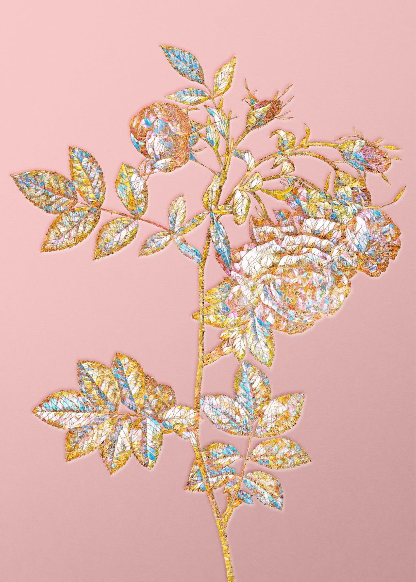 'Pink Crystal Rose Flower' Poster by Holy Rock Design | Displate