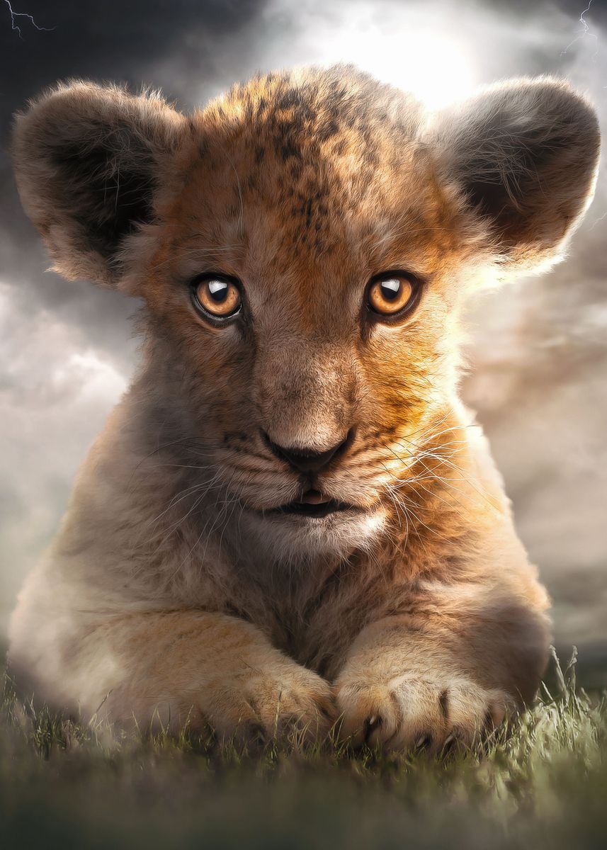 'The Bossy Lion Cub' Poster, picture, metal print, paint by Zenja ...