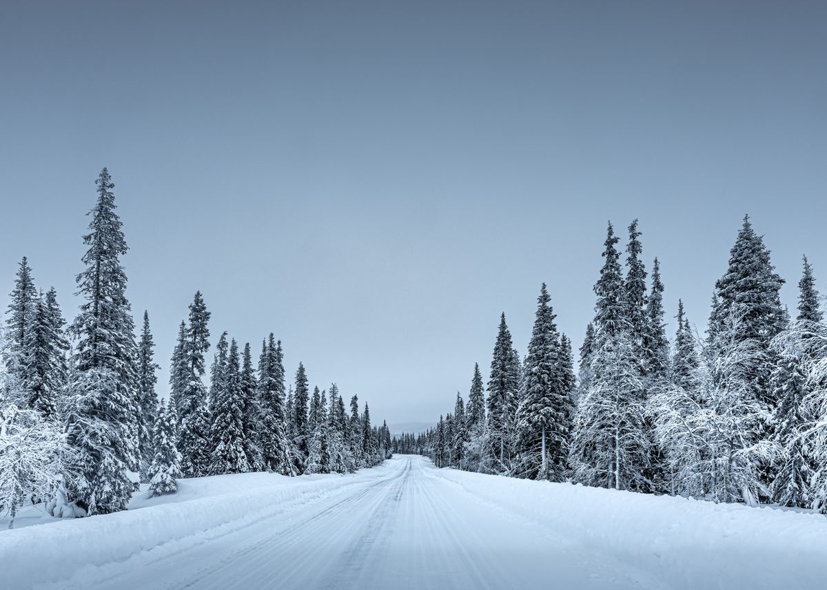 'Icy road' Poster by Wiktor Borozdin | Displate