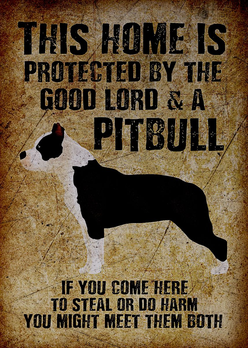 'Pit bull' Poster, picture, metal print, paint by Nick Cournoyer | Displate