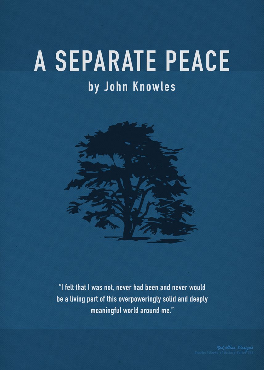 'A Separate Peace Book Art ' Poster by Design Turnpike | Displate