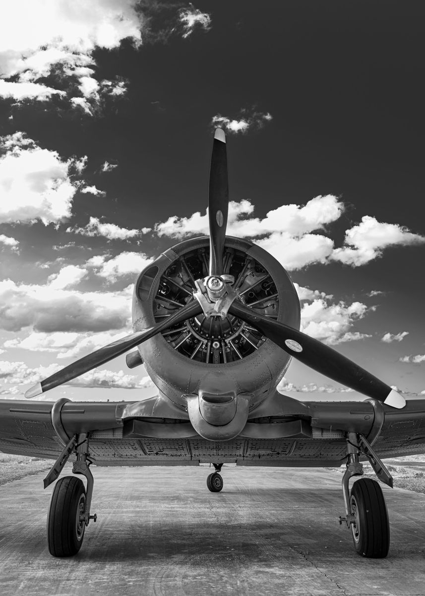 'Wirraway' Poster by Mark Greenmantle | Displate