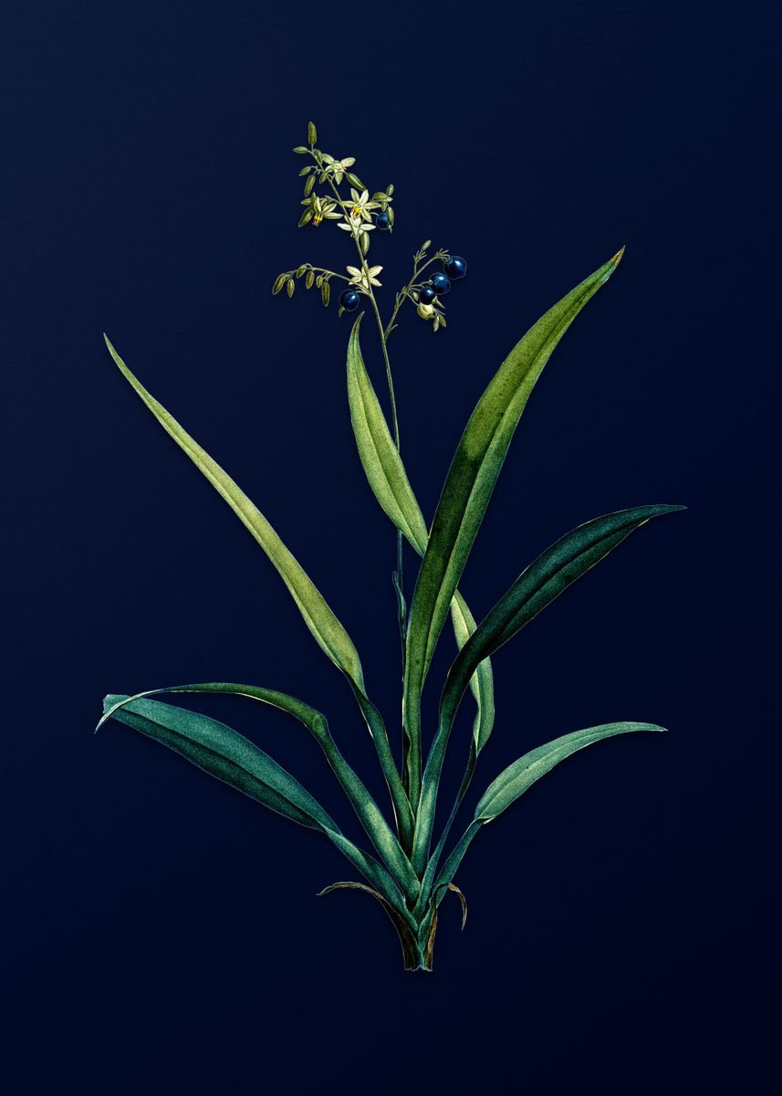 'Flax Lilies on Blue' Poster, picture, metal print, paint by Holy Rock ...