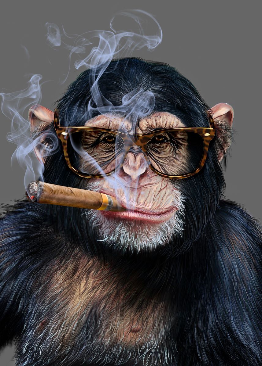 Hipster Chimpanzee Cigar Poster Picture Metal Print Paint By Jeff Displate