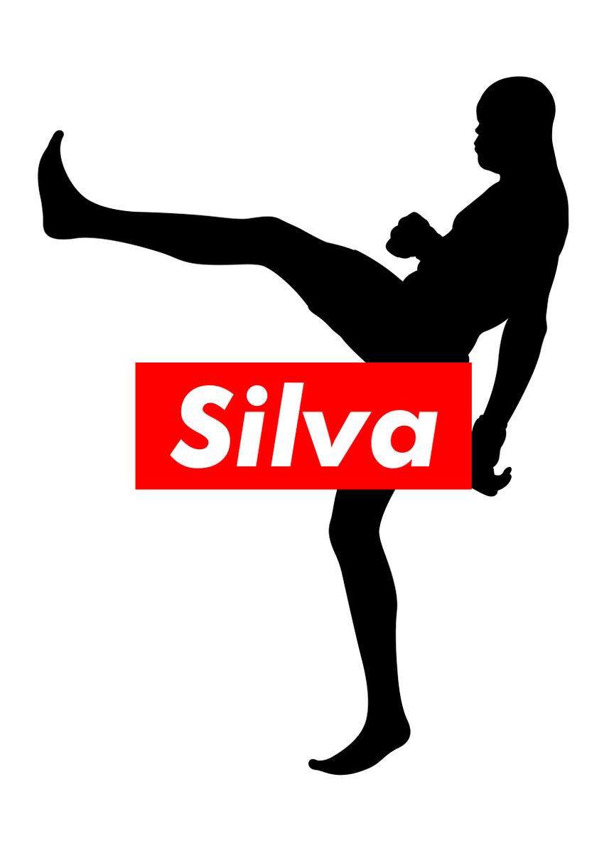 'UFC MMA Anderson Silva' Poster, picture, metal print, paint by Team