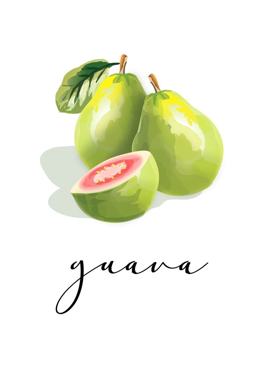 'Guava' Poster, picture, metal print, paint by Ngoc Anh Tran Thi | Displate