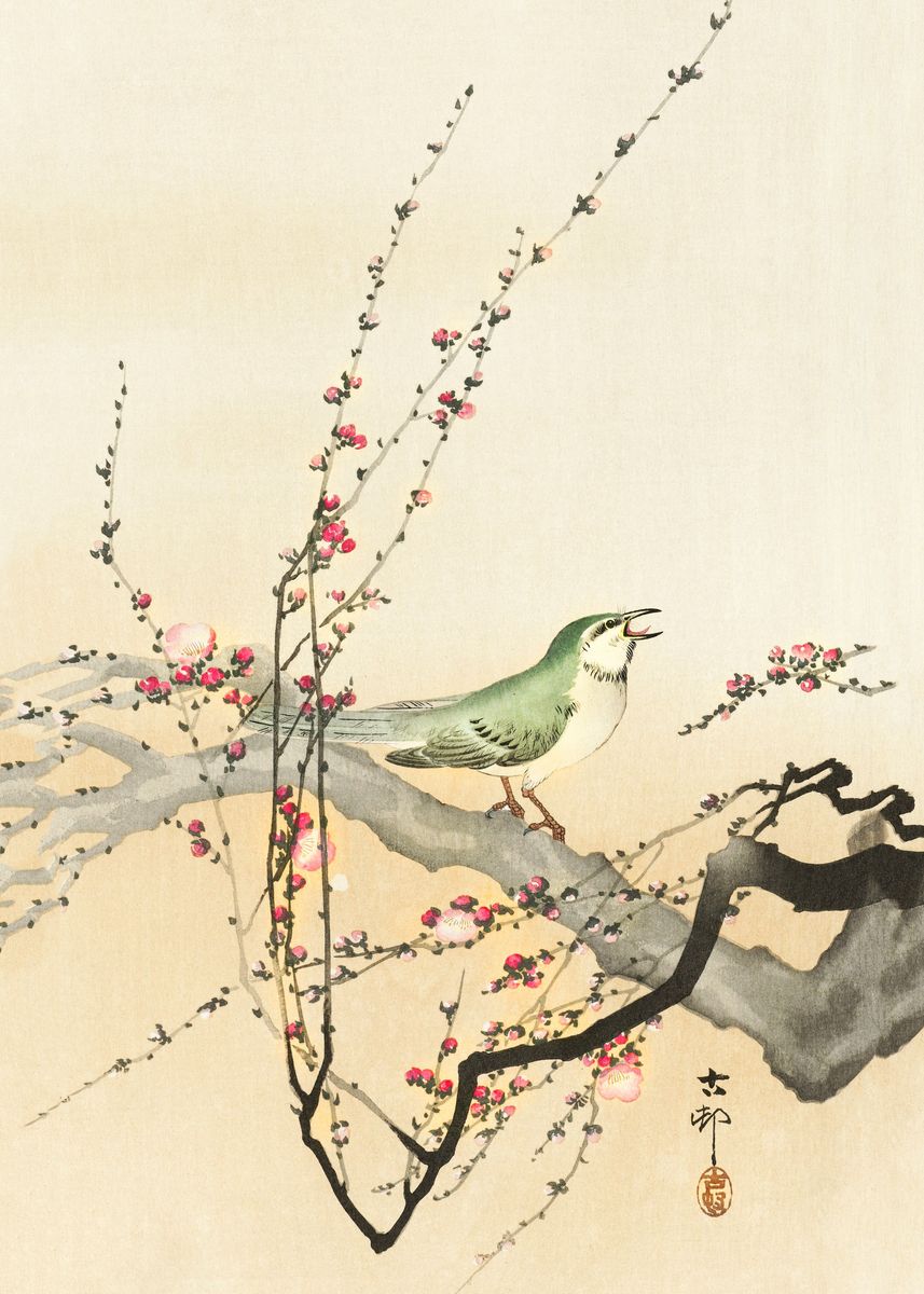 'Songbird and plum blossom' Poster, picture, metal print, paint by ...