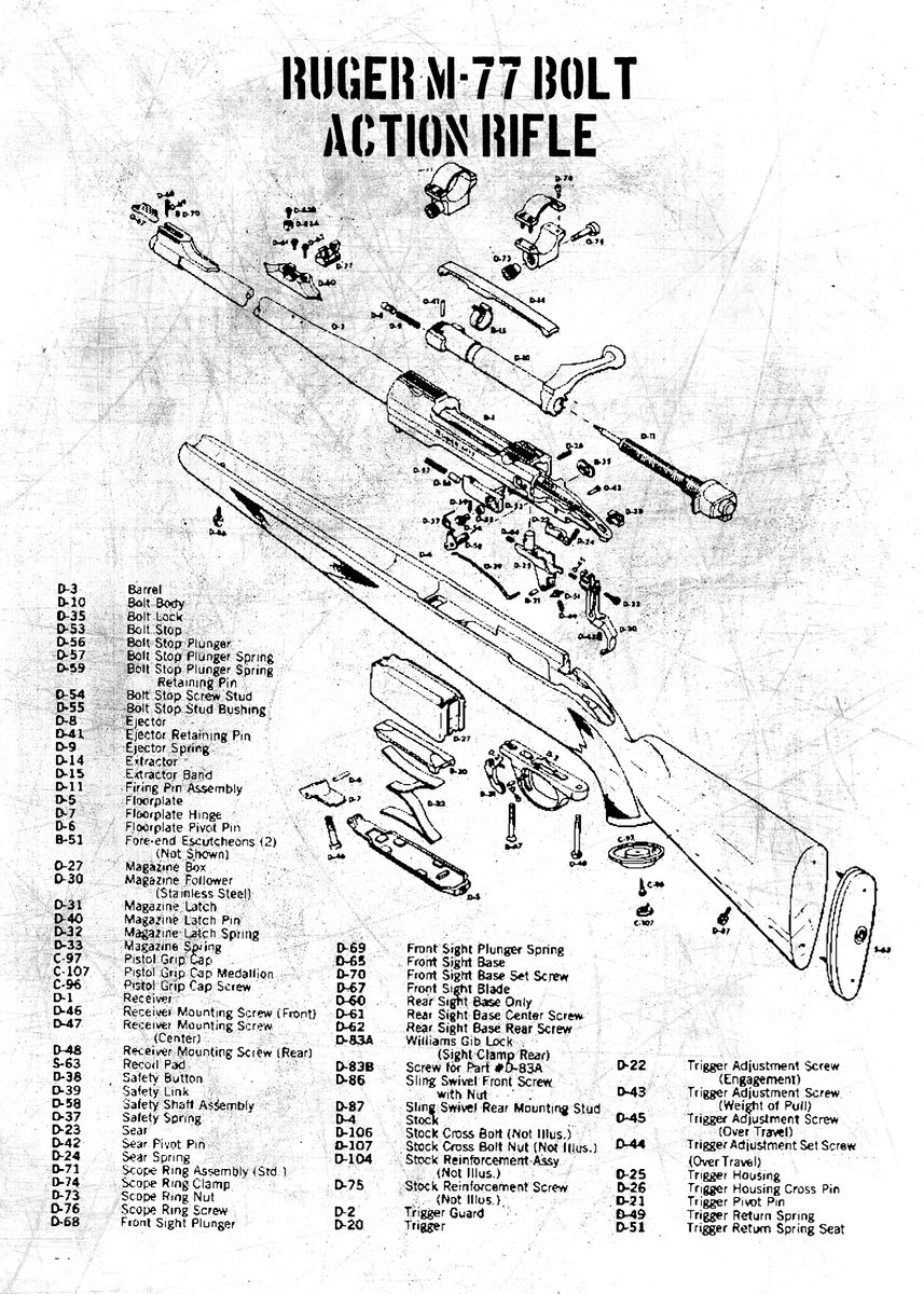 'ruger m77 bolt ' Poster, picture, metal print, paint by
