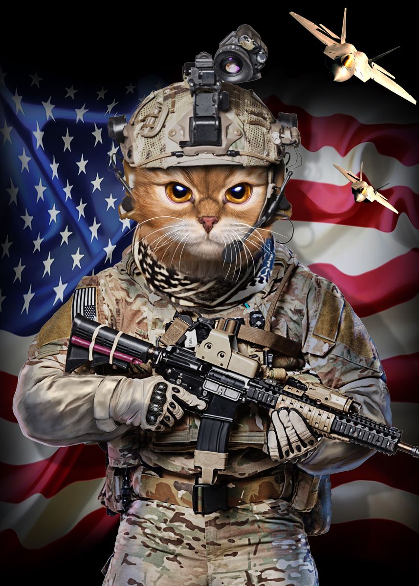 Tabby Cat Elite Soldier Poster Picture Metal Print Paint By Jeff