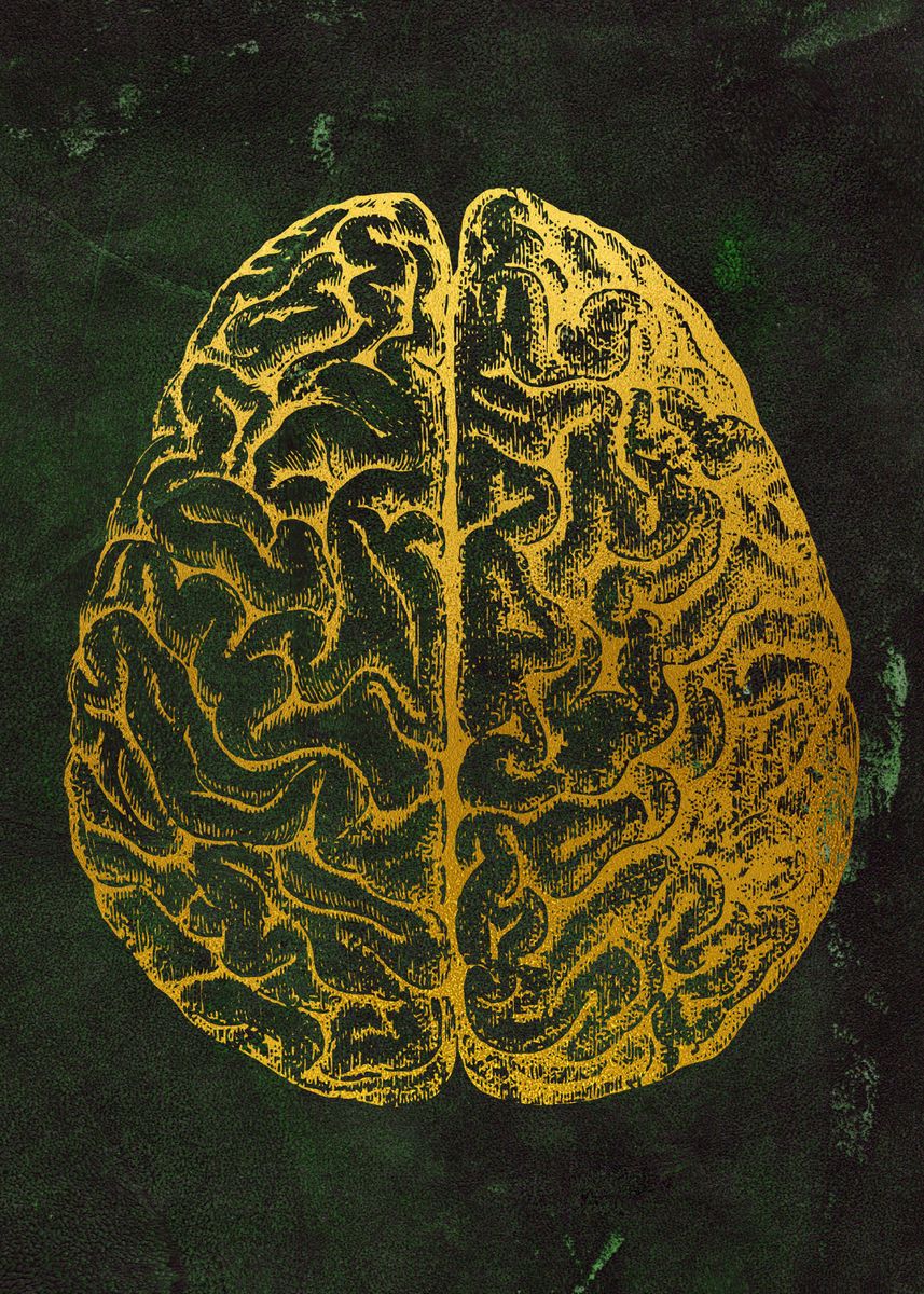 Human Brain Poster By Erzebet Prikel Displate