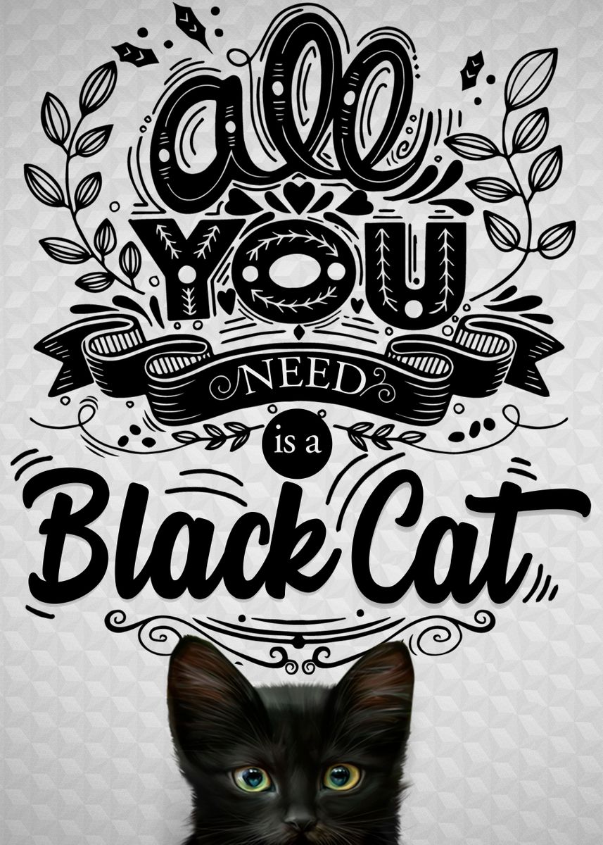 'Black Cat in White' Poster by Belchior Canizo | Displate